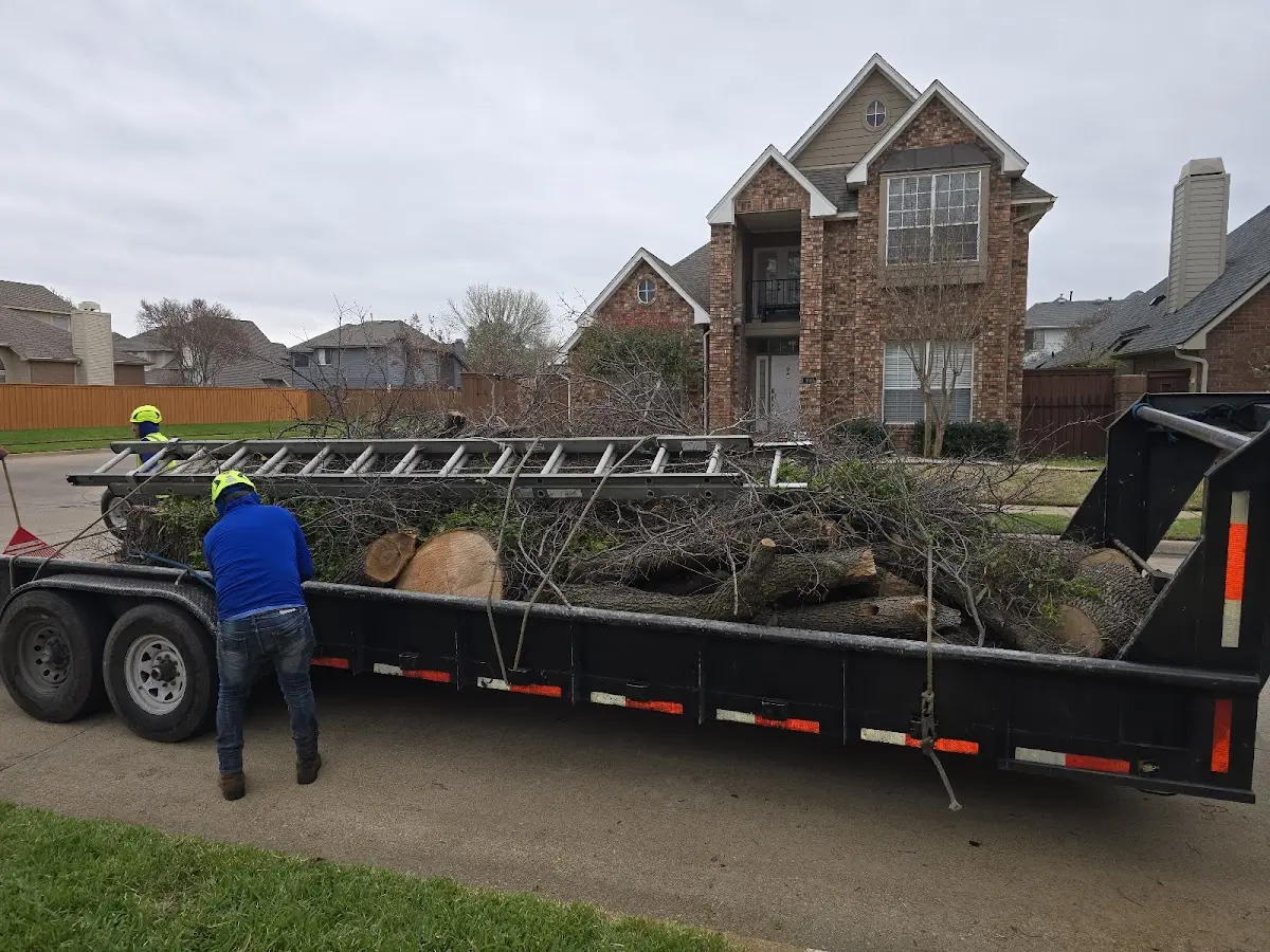 Expert Tree Fertilization with proper safety equipment in Thetford Center